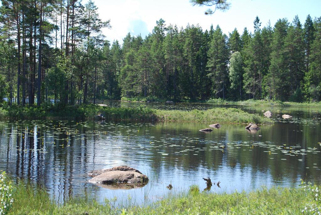 Hamgarden Nature Resort Tiveden Cameră foto